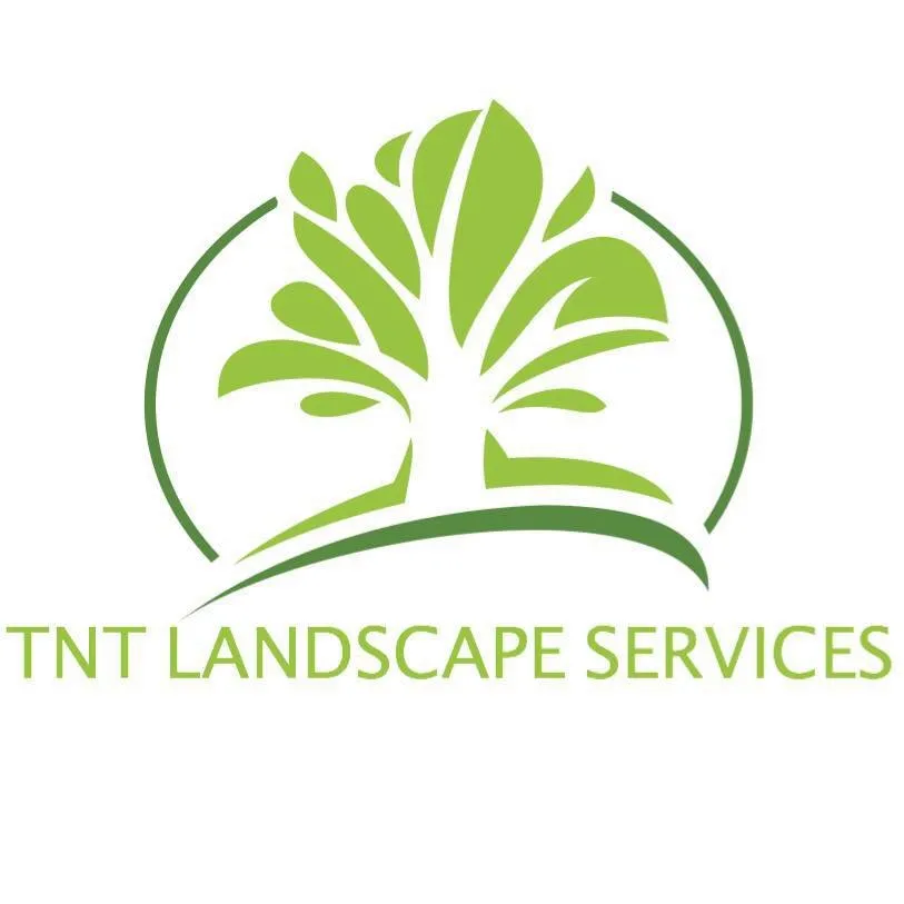 Reliable landscape design in Buda, TX - TNT Landscape Services