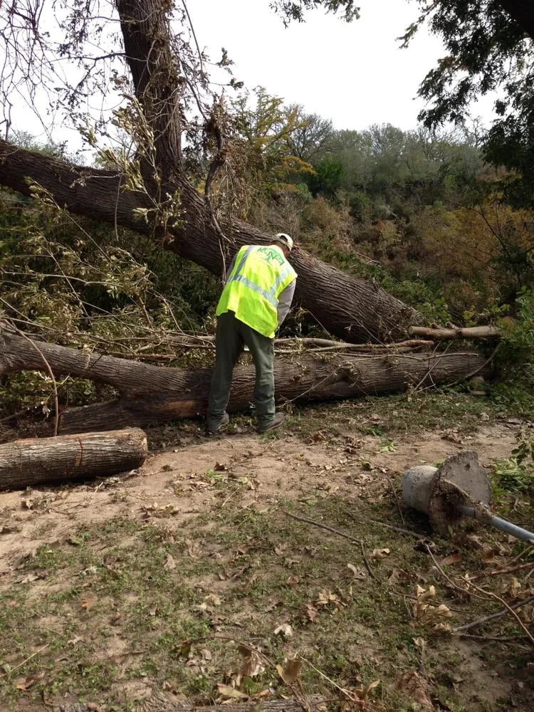 Custom garden landscaping in Buda, TX by TNT Landscape Services
