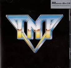 TNT Landscaping & Home Improvements Logo