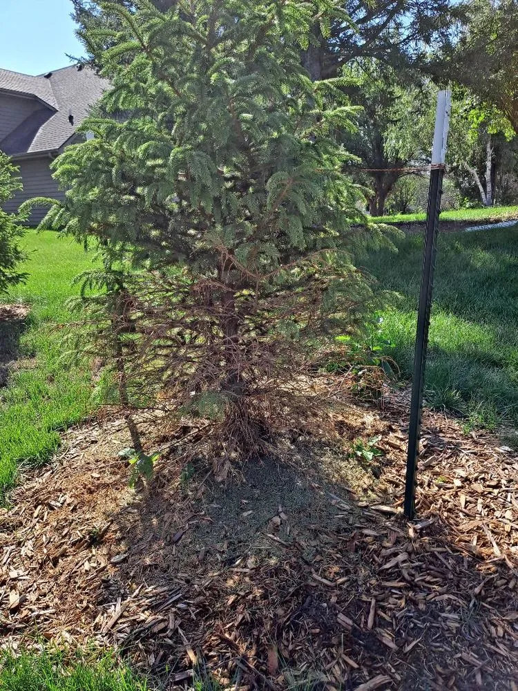 Custom residential landscaping experts serving Ankeny, IA - TNT Landscaping and Nursery