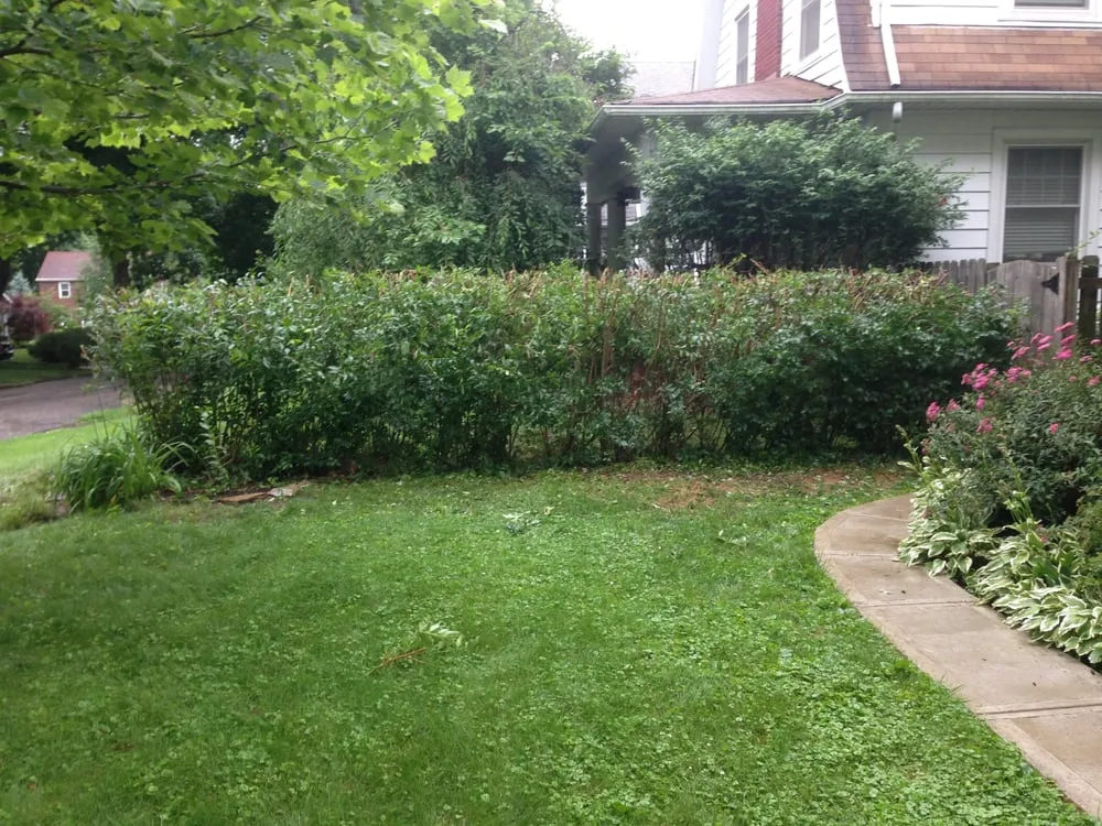 Local lawn mowing service in Columbus, OH by TNT Landscaping