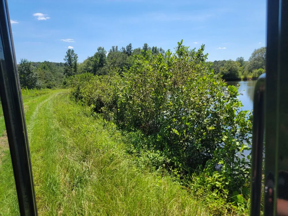 Trusted lawn care service in Comer, GA - TNT Landscaping