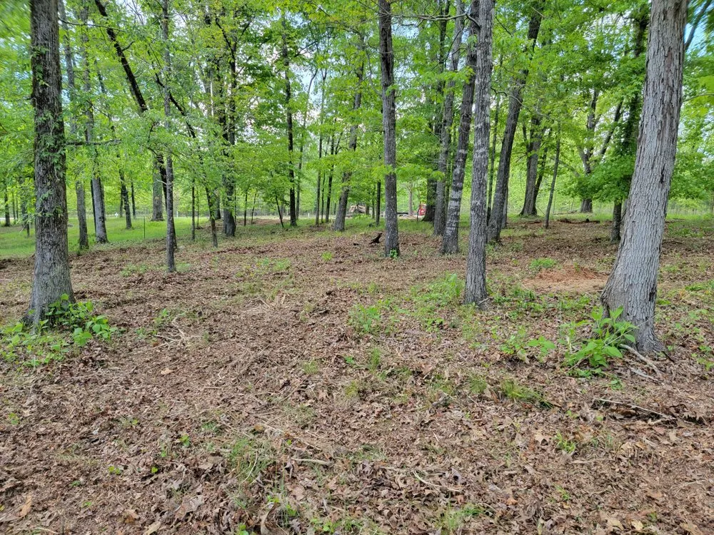 Local landscape installation experts serving Comer, GA - TNT Landscaping