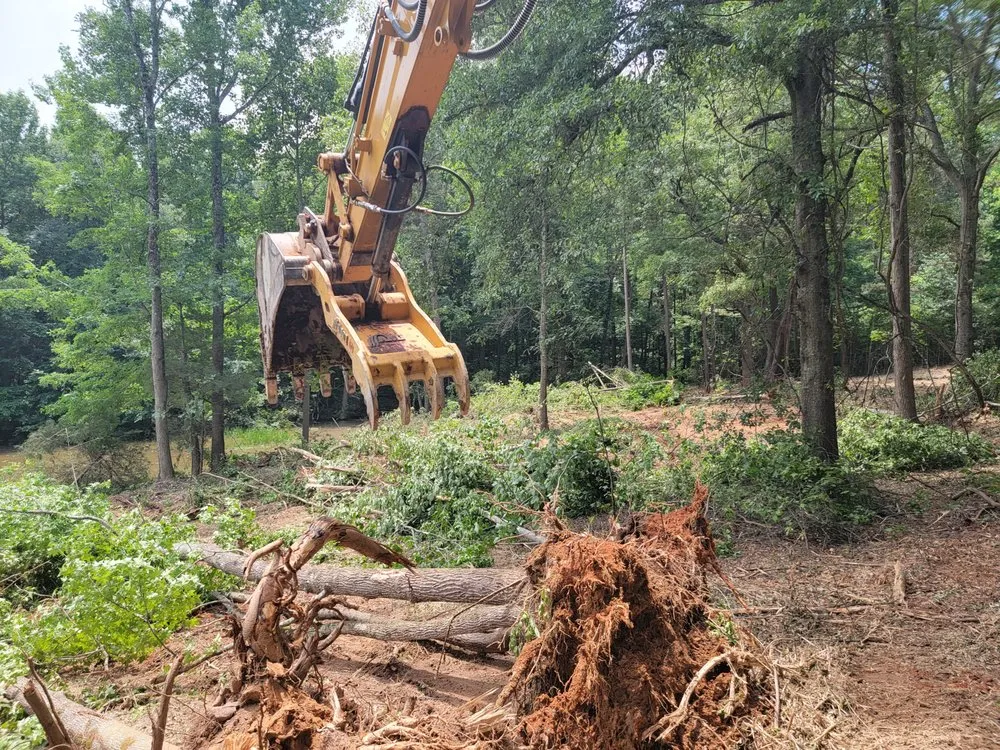 Affordable landscaping services in Comer, GA - TNT Landscaping