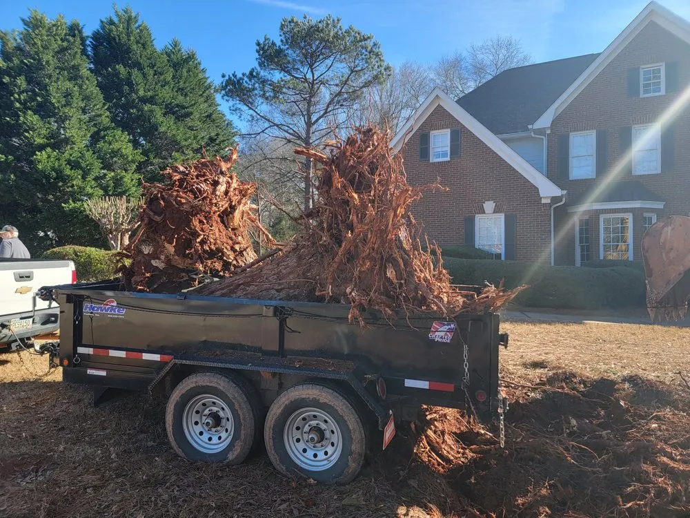 Reliable residential landscaping in Comer, GA - TNT Landscaping