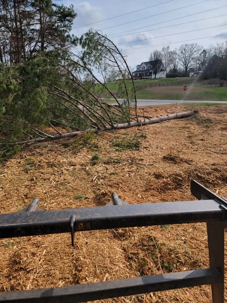 Local landscaping services near you across Comer, GA - TNT Landscaping