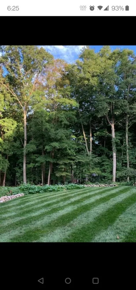 Reliable lawn mowing service in Crete, IL by TnT Landscaping