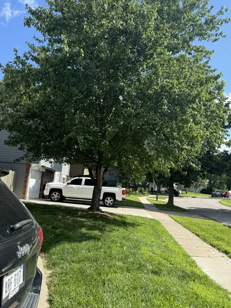 Trusted lawn mowing service experts serving Lincoln, NE - TNT Landscaping