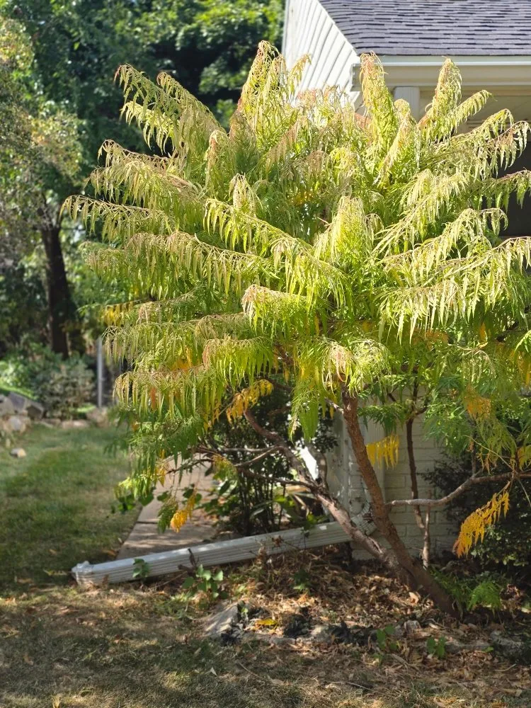 Local outdoor landscaping for outdoor upgrades in Lincoln, NE by TNT Landscaping