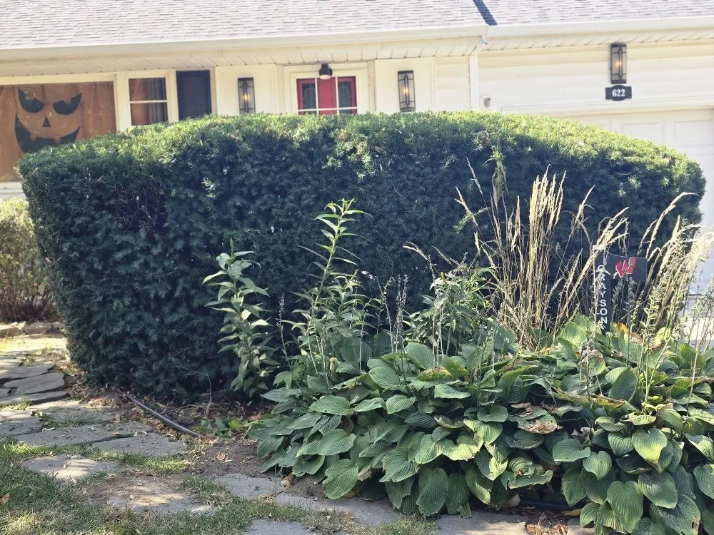 Trusted yard maintenance for outdoor upgrades in Lincoln, NE by TNT Landscaping