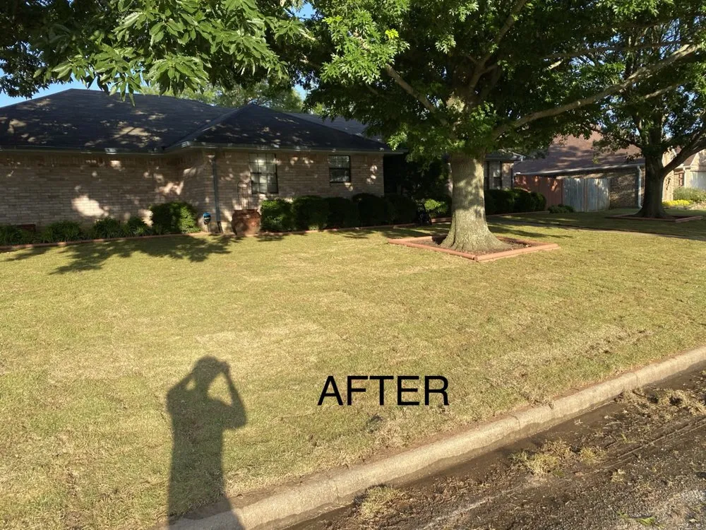 Local lawn care service for year-round maintenance in Sherman, TX by TNT Landscaping