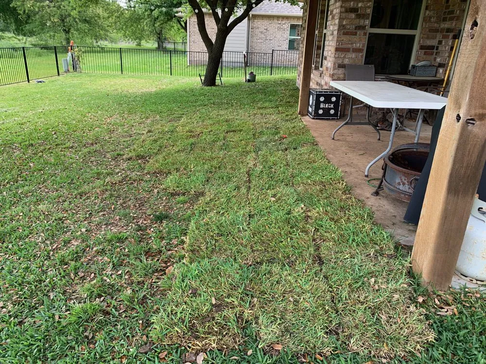 Professional lawn care service in Sherman, TX - TNT Landscaping