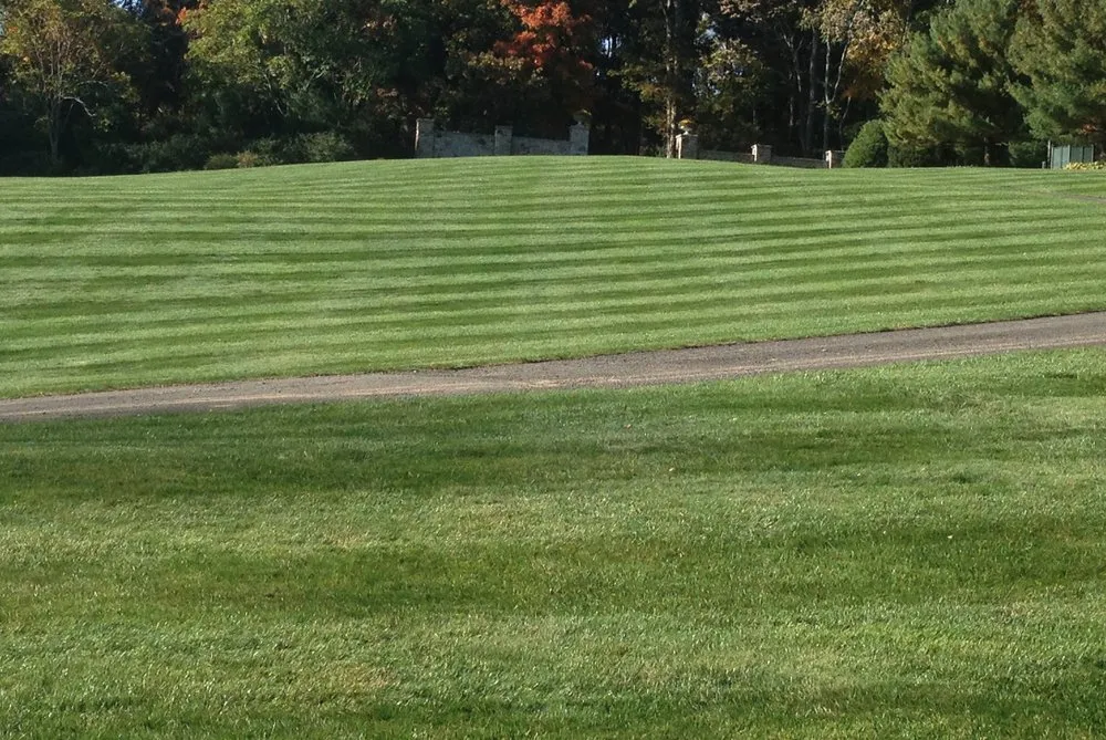Local landscape installation experts serving Fountain, MN - Tnt Lawn and Snow Services
