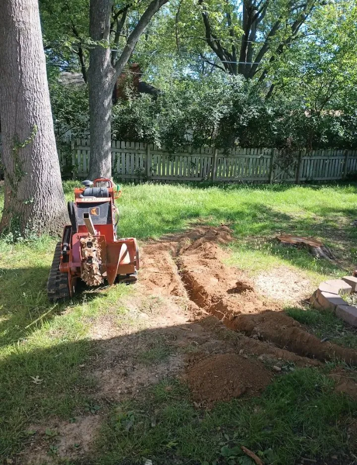 Reliable lawn care service in Rolla, MO by TNT Lawn Care & Landscape