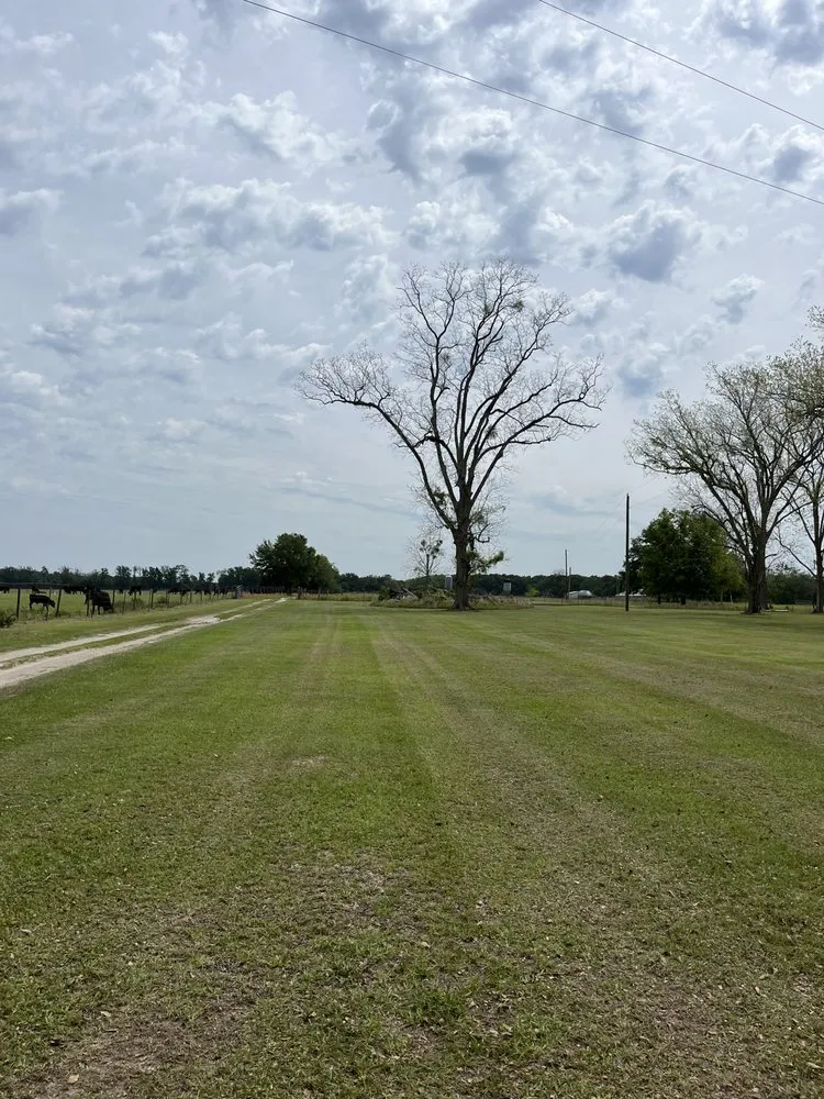 Reliable landscape installation experts serving Live Oak, FL - TNT Lawn Care