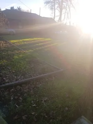 TNT Lawn Care Services Logo