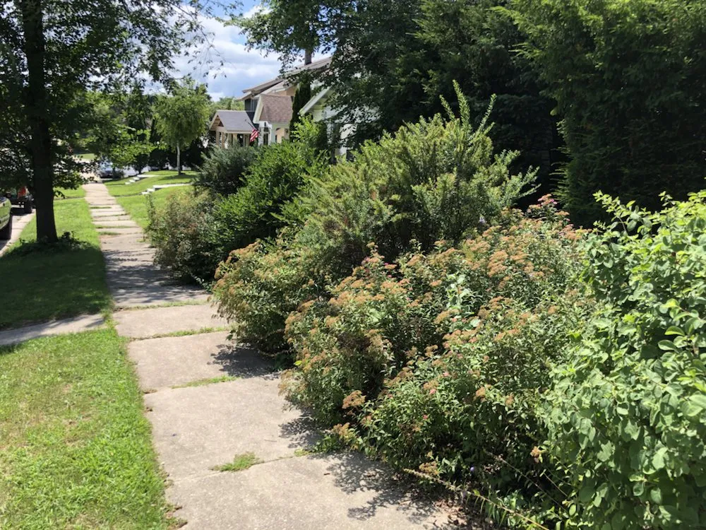 Expert garden landscaping for year-round maintenance in West Bend, WI by TNT Lawn Care