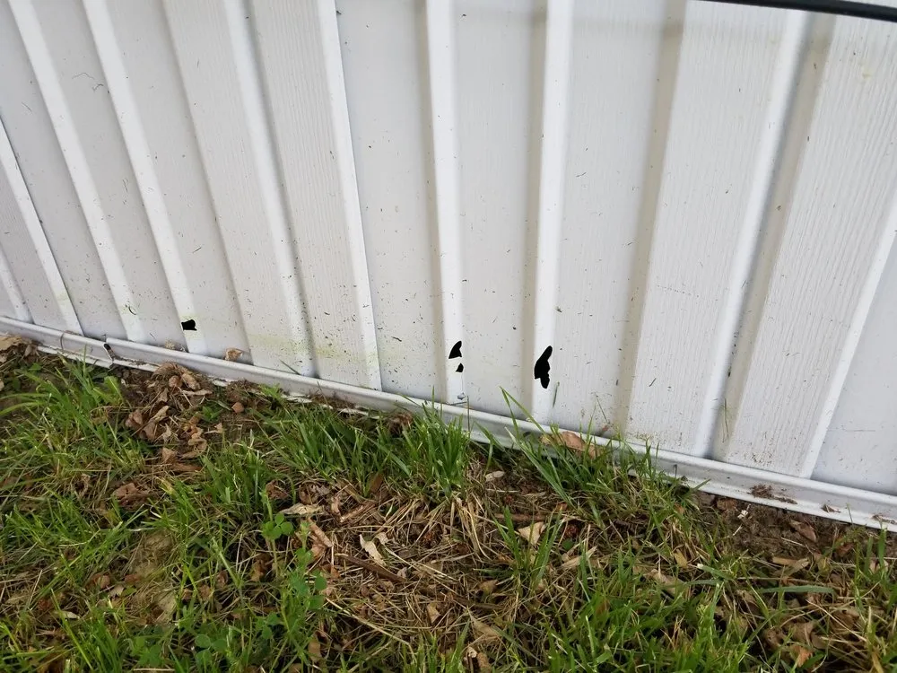 Expert landscaping services in Westminster, CO - TNT Lawn CAre