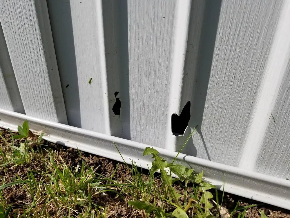 Expert landscaping services experts serving Westminster, CO - TNT Lawn CAre