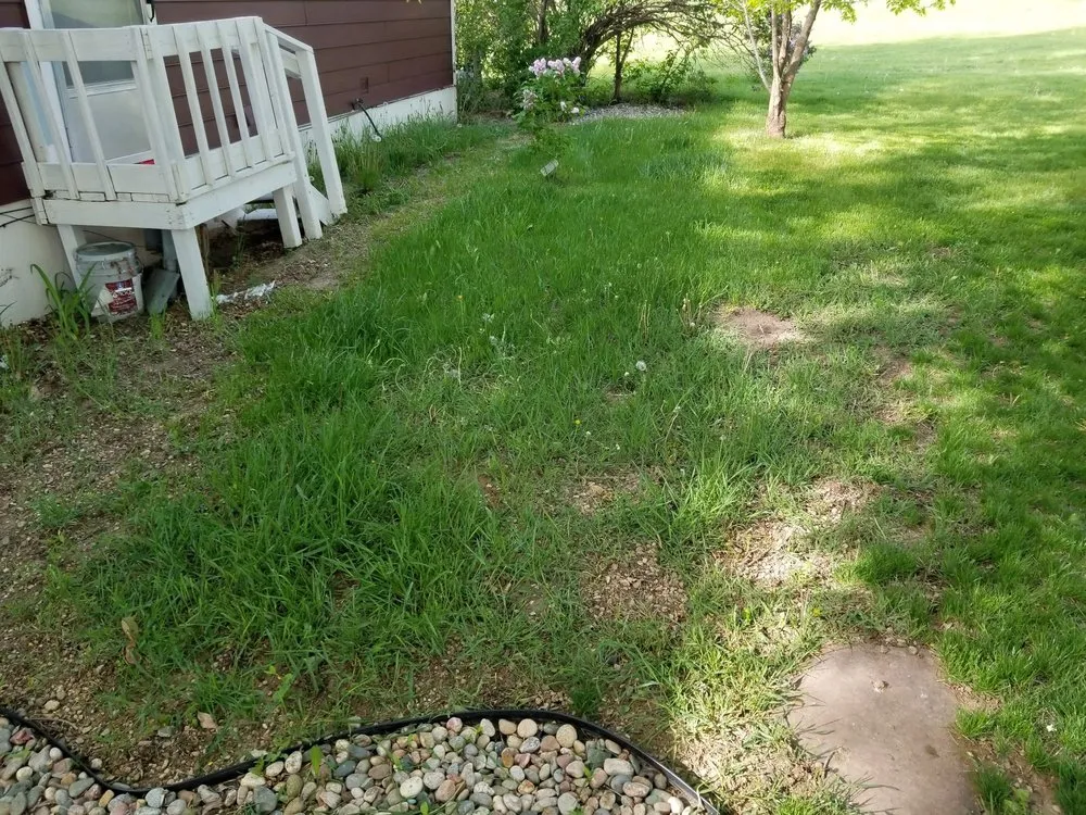 Trusted outdoor landscaping near you in Westminster, CO by TNT Lawn CAre