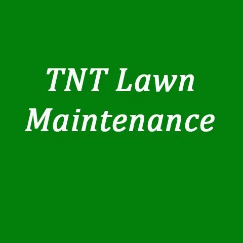 Custom garden landscaping experts serving Grant Park, IL - TNT Lawn Maintenance