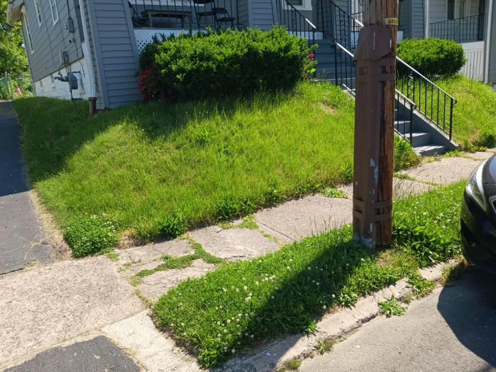 Trusted yard cleanup service for homes in Pennington, NJ by TNT Lawn Maintenance
