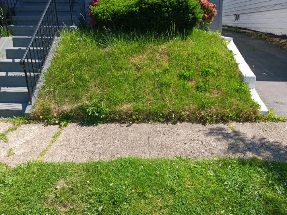 Professional yard maintenance experts serving Pennington, NJ - TNT Lawn Maintenance