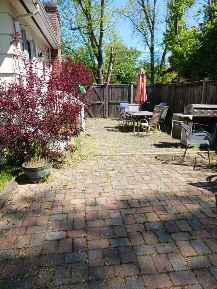 Expert yard cleanup service in Pennington, NJ by TNT Lawn Maintenance