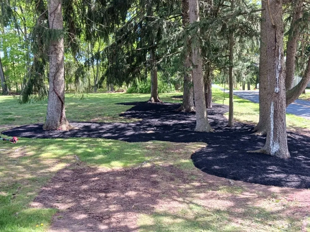 Professional landscape design in Pennington, NJ by TNT Lawn Maintenance