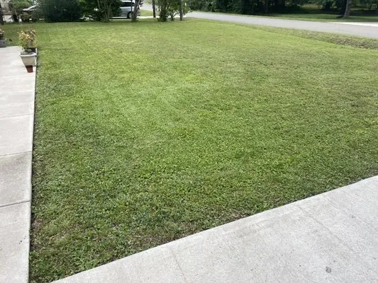 TNT Lawn Services Logo