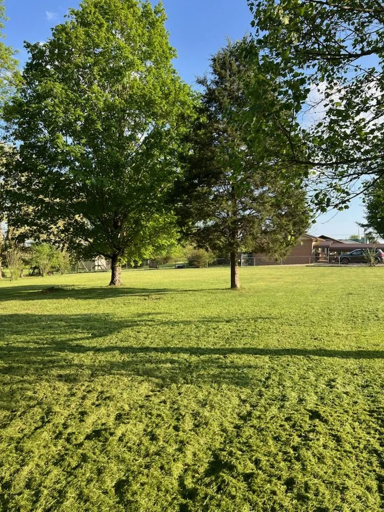 Affordable lawn care service in Crossville, TN by TNT Lawncare