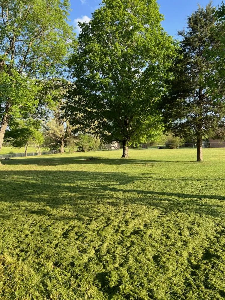 Top-rated lawn care service in Crossville, TN - TNT Lawncare