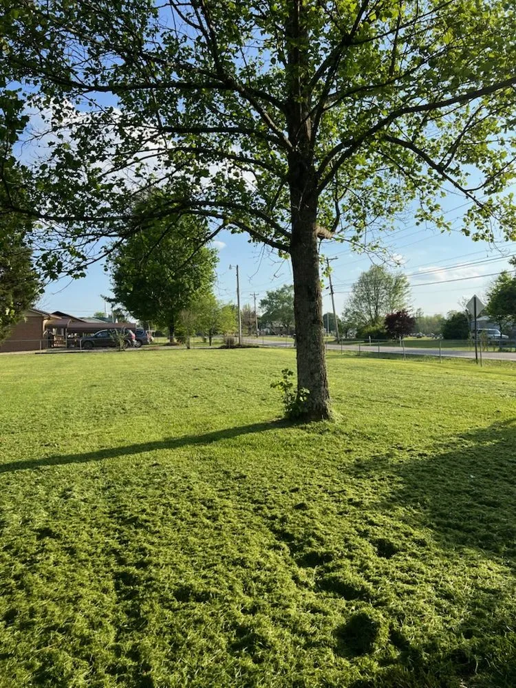 Top-rated lawn care service experts serving Crossville, TN - TNT Lawncare