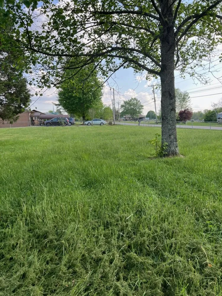 Professional landscape installation for residential properties across Crossville, TN - TNT Lawncare