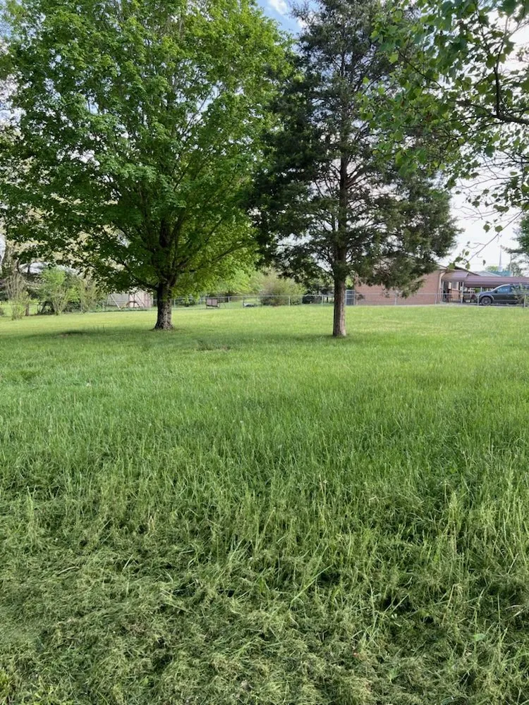 Reliable garden landscaping experts serving Crossville, TN - TNT Lawncare