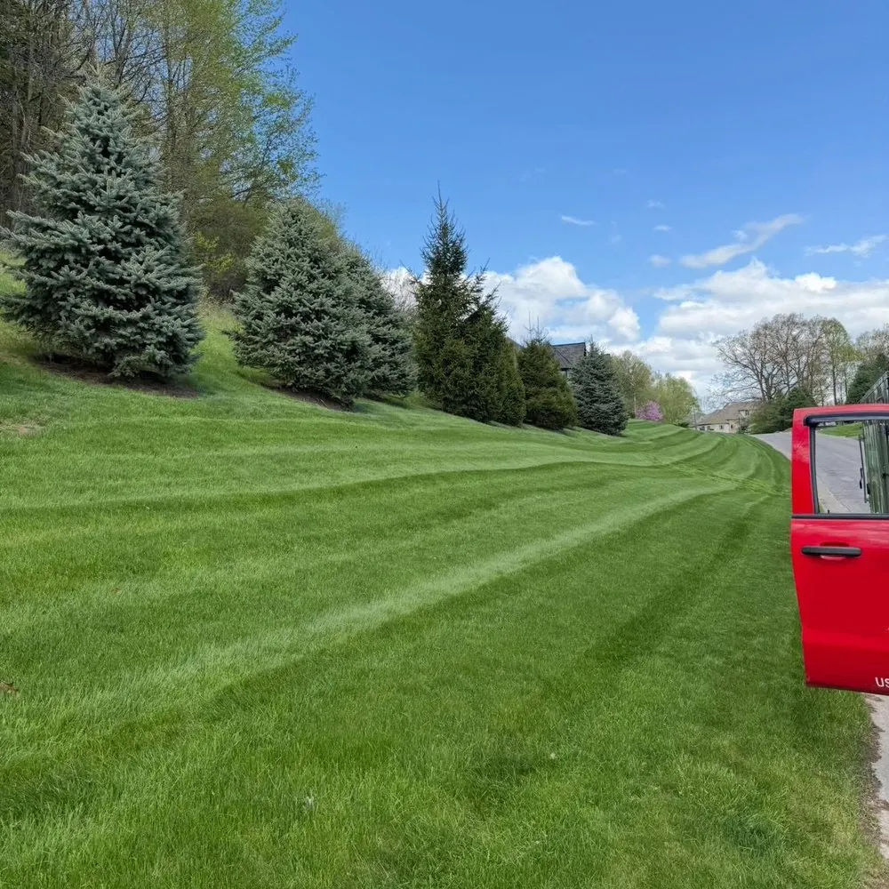 Custom yard cleanup service in Newark, NY - TNT Lawncare