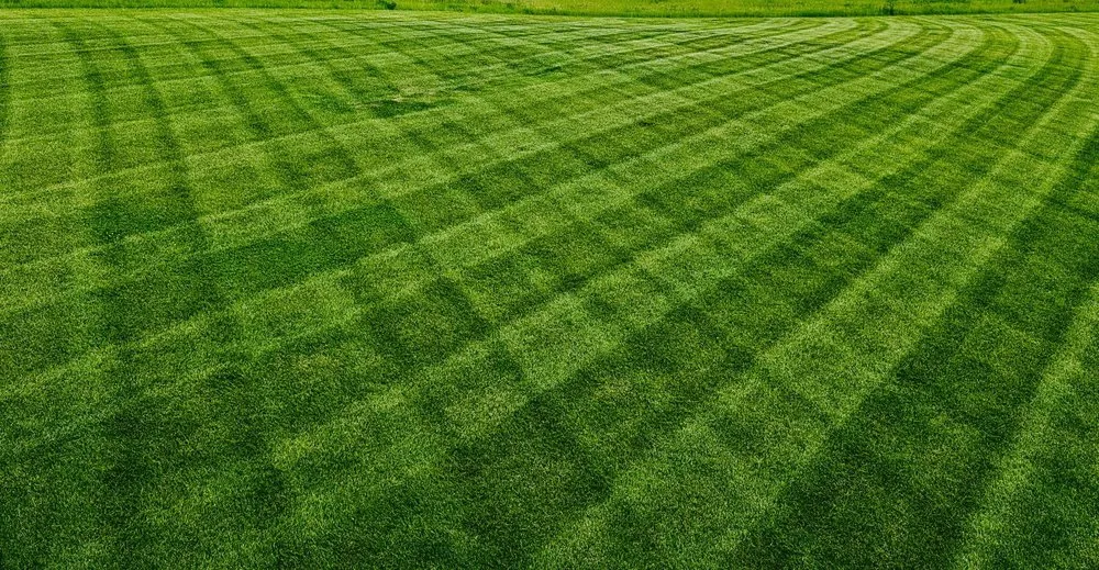 Custom lawn care service for residential properties across Seward, NE - TnT Lawncare
