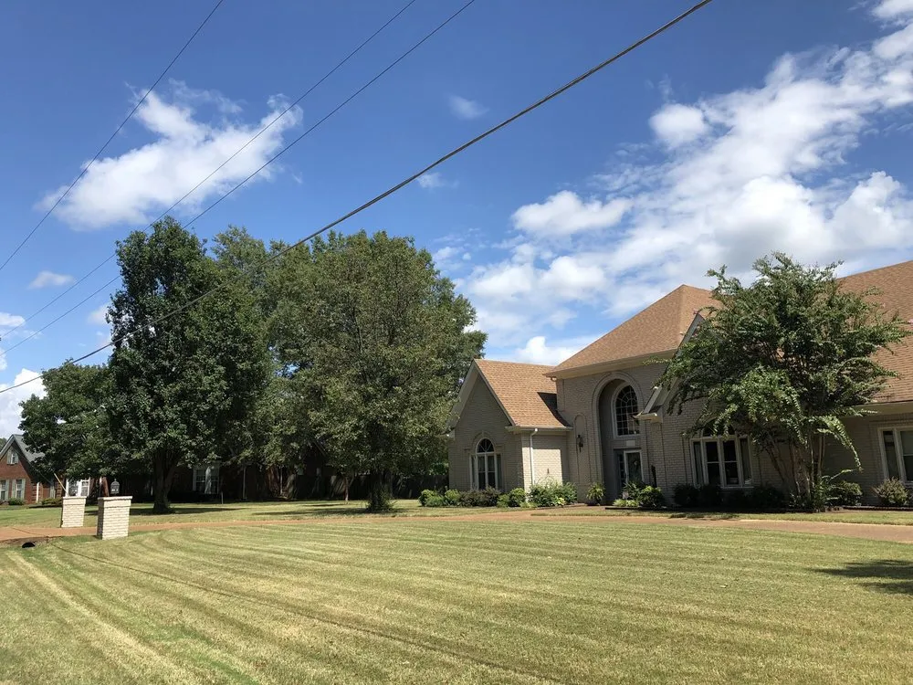 Professional yard cleanup service in Southaven, MS by TNT Lawns