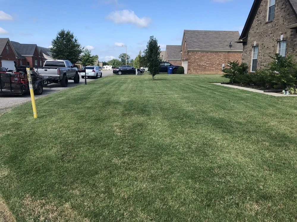 Trusted yard cleanup service in Southaven, MS by TNT Lawns