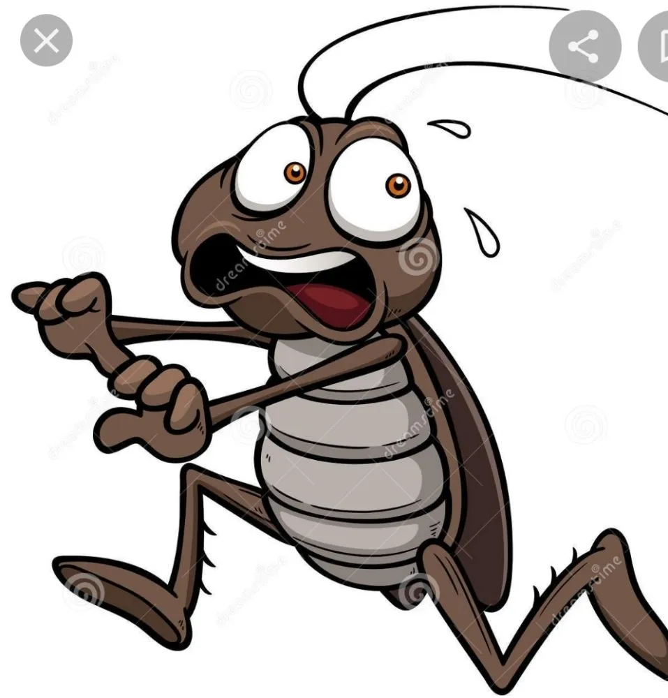 Local landscape design experts serving Oklahoma City, OK - TNT Pest And Weed Control