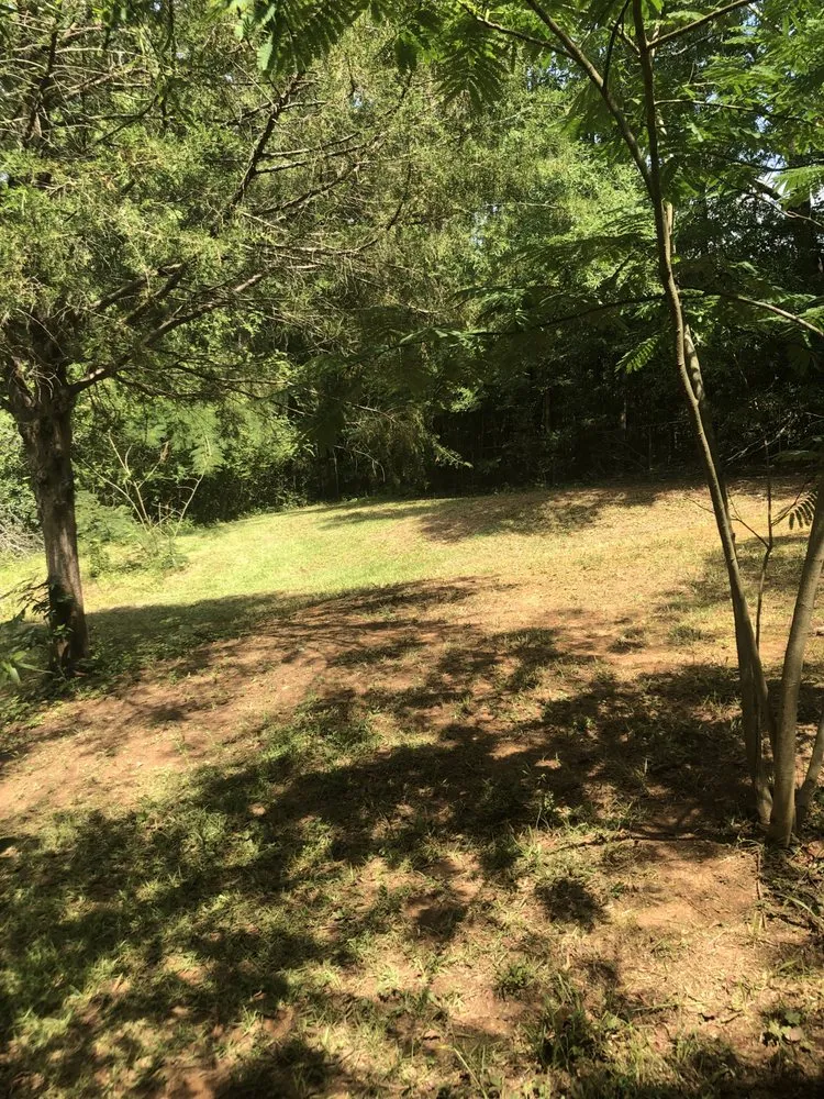 Custom lawn care service experts serving Warner Robins, GA - Tnt Plus