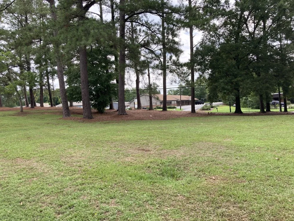 Affordable yard maintenance in Warner Robins, GA by Tnt Plus