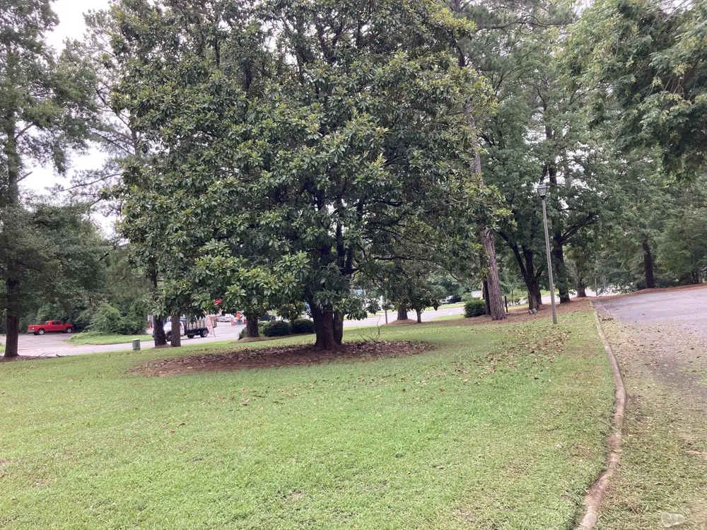 Affordable garden landscaping in Warner Robins, GA - Tnt Plus