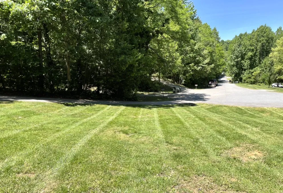 Affordable landscaping services in Thomasville, NC by TNT Prime