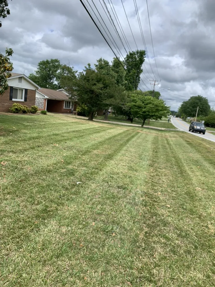 Affordable garden landscaping for outdoor upgrades across Thomasville, NC - TNT Prime