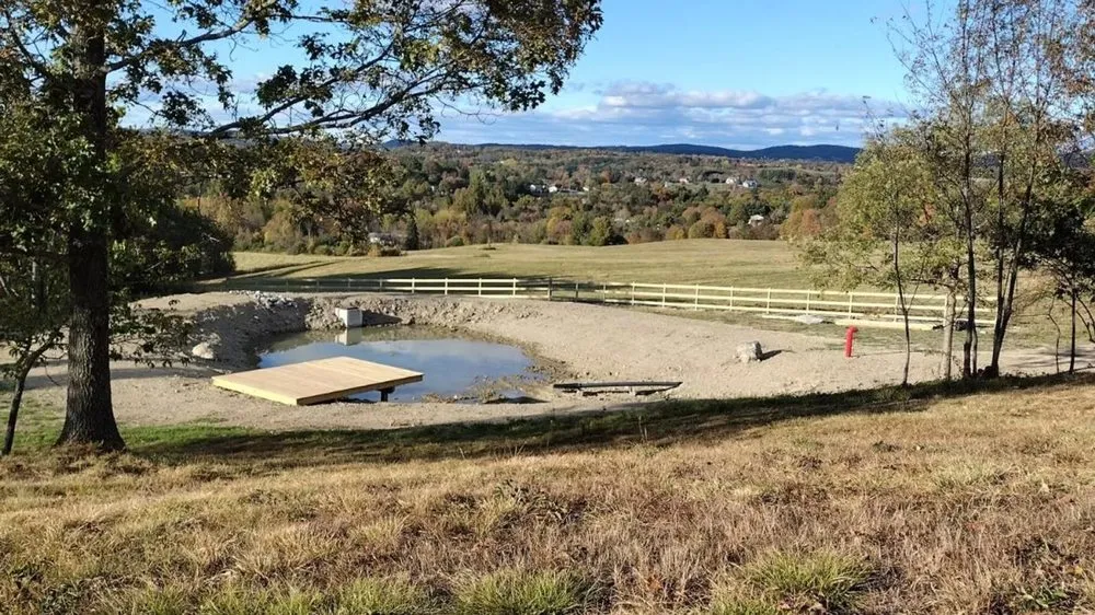 Custom yard cleanup service for homes in Carmel Hamlet, NY by TNT Property Maintenance And Development