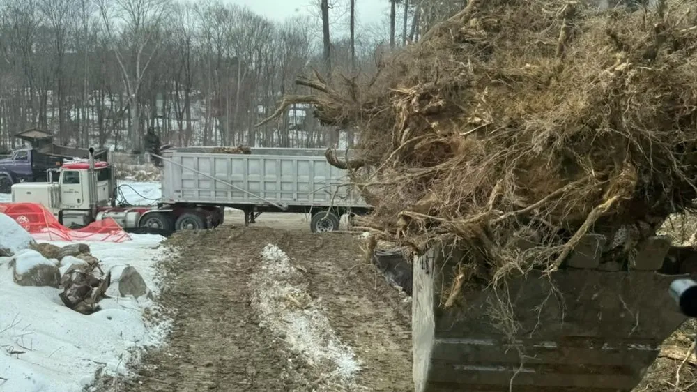 Top-rated outdoor landscaping in Carmel Hamlet, NY by TNT Property Maintenance And Development