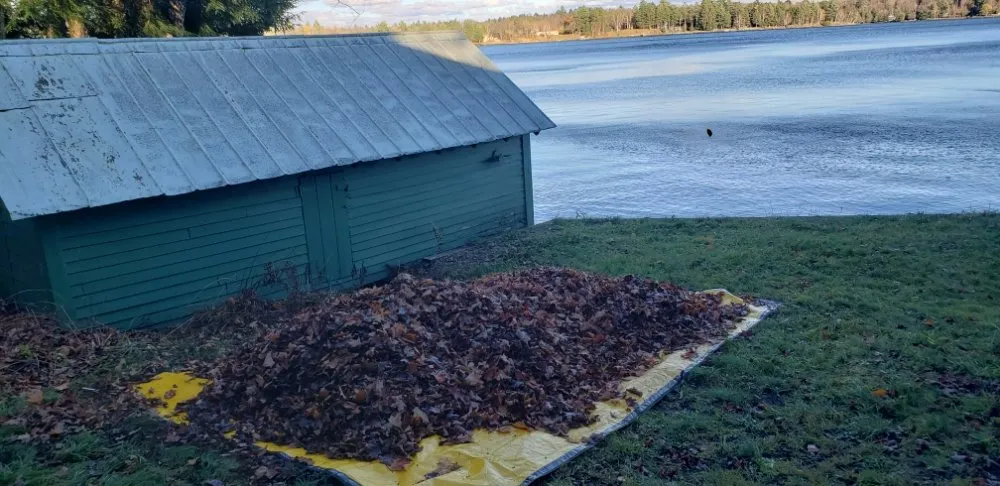 Affordable landscaping services experts serving Carthage, NY - TnT Property Services