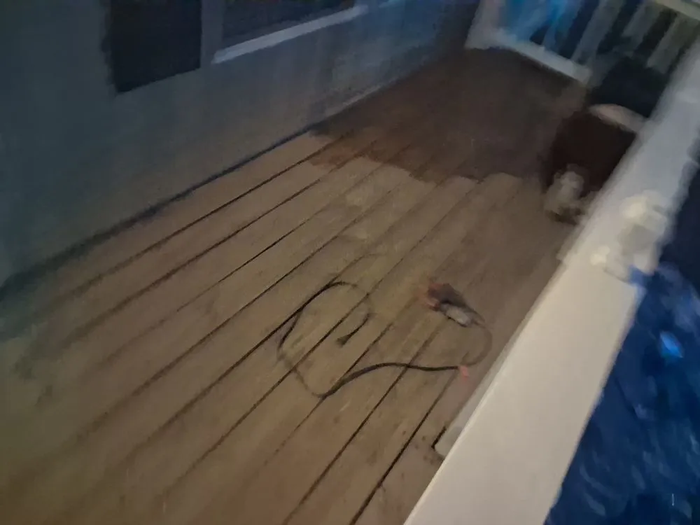 Local garden landscaping in Amarillo, TX - TnT Refurbishing