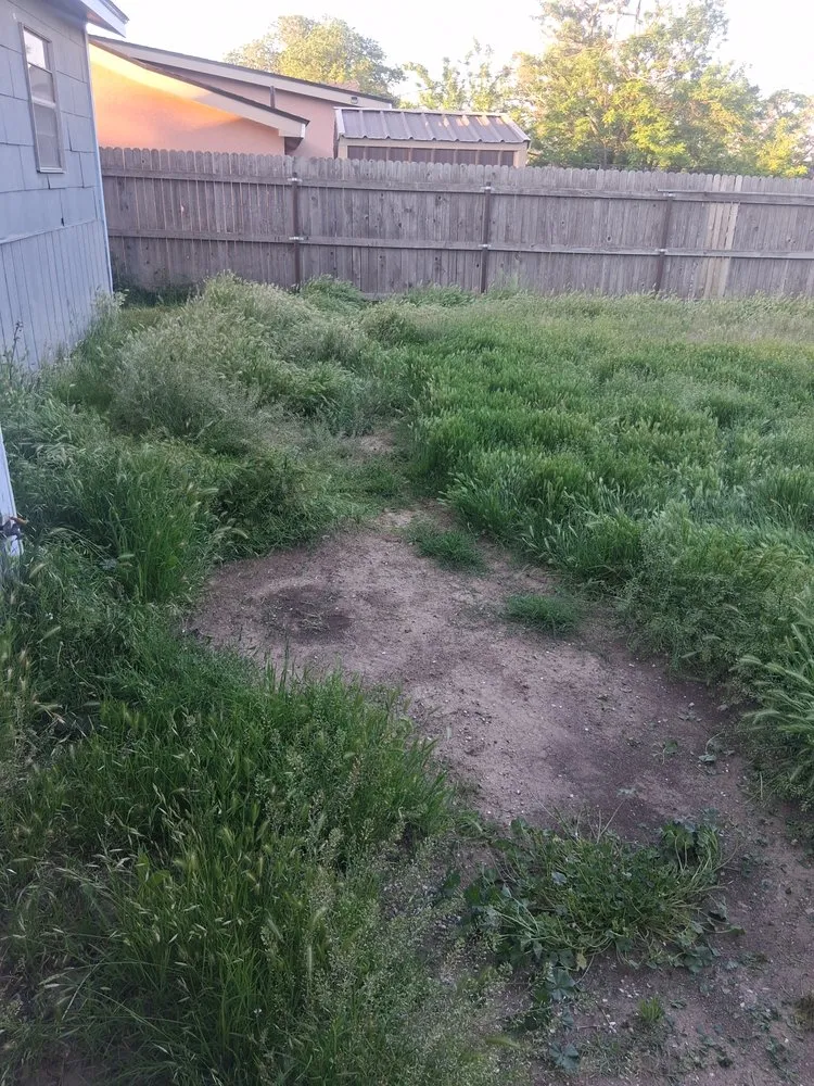 Local lawn mowing service near you in Amarillo, TX by TnT Refurbishing